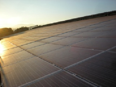 IBC Solar e agricola “Francia”, sostenibilità ambientale 