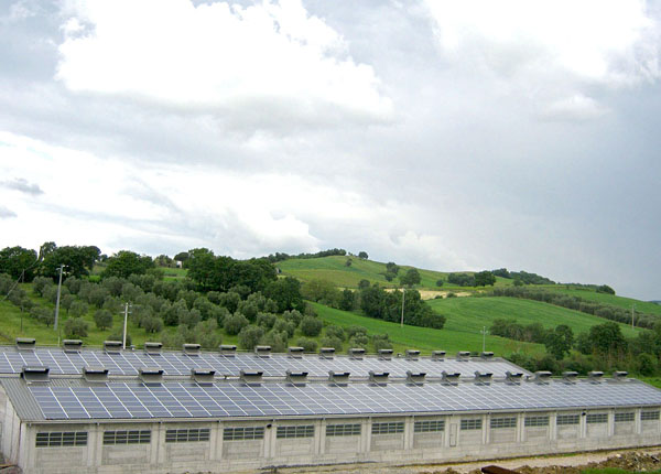 Caseificio Sociale di Manciano, nuovo impianto Conergy da 150 kWp