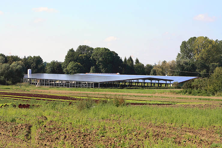 Winaico, 970 kWp di moduli PERC per l’agricola Fischzucht Ruf