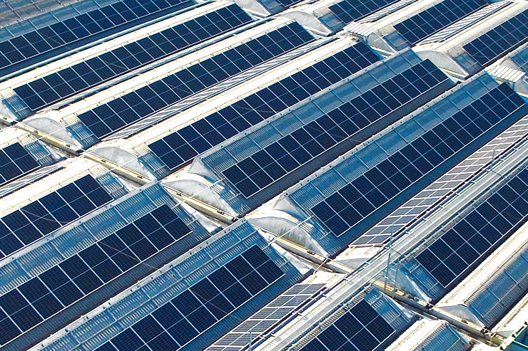 Moduli fotovoltaici FuturaSun per il revamping a Rovigo