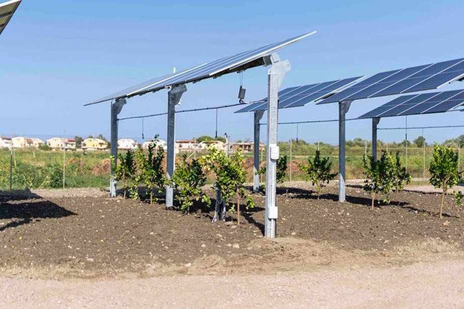 agrivoltaico