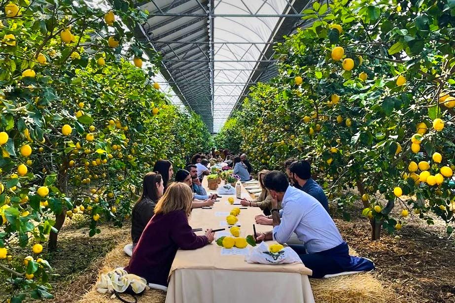 agrivoltaico