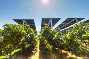 solar tracker