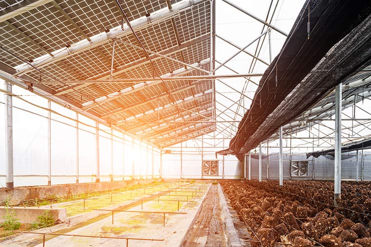 agrivoltaico