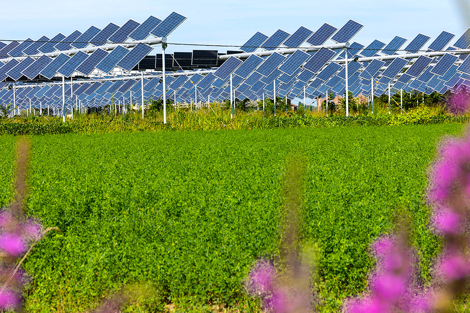 agrivoltaico